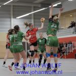 14-12-2019: Handbal: Vrouwen PCA Kwiek v Quintus: Raalte
Ivy Marrewijk, Elize Zwinkels of Quintus, Romy Steverink of PCA Kwiek, Dorien van Wissen of Quintus