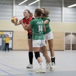 04-01-2020: Handbal: PCA Kwiek v Misker E&O: Raalte
Jessica Hilbrands of PCA Kwiek, Nienke ten Cate of E&O