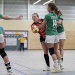 04-01-2020: Handbal: PCA Kwiek v Misker E&O: Raalte
Marleen Bekreplas of Misker E&O, Jessica Hilbrands of PCA Kwiek, Nienke ten Cate of Misker E&O