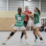 04-01-2020: Handbal: PCA Kwiek v Misker E&O: Raalte
Nienke ten Cate of Misker E&O,Jessica Hilbrands of PCA Kwiek