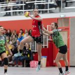 01-02-2020: Handbal: Vrouwen PCA Kwiek v BFC: Raalte
Jaimy Habets of Southern/BFC, Floor Tutert of PCA Kwiek