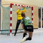 01-02-2020: Handbal: Vrouwen PCA Kwiek v BFC: Raalte
Claudia ter Wal of PCA Kwiek, Eefje Huijsmans of Southern/ BFC