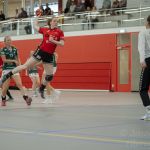 02-08-2020: Handbal: PCA Kwiek v SFN Vechta: Raalte
Nele Muller of SFN Vechta, Valerie Logtenberg of PCA Kwiek, Carolin Tiedeken of SFN Vechta