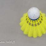 14-11-2021: Sport: Twente vrouwen vs Ajax vrouwen
During the match FC Twente vrouwen vs Ajax vrouwen at stadium de Grolsch Veste.