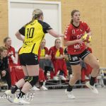 14-11-2021: Sport: Twente vrouwen vs Ajax vrouwen
During the match FC Twente vrouwen vs Ajax vrouwen at stadium de Grolsch Veste.