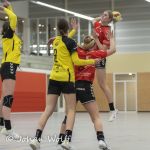 14-11-2021: Sport: Twente vrouwen vs Ajax vrouwen
During the match FC Twente vrouwen vs Ajax vrouwen at stadium de Grolsch Veste.