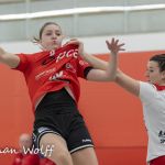 14-11-2021: Sport: Twente vrouwen vs Ajax vrouwen
During the match FC Twente vrouwen vs Ajax vrouwen at stadium de Grolsch Veste.