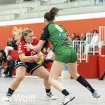 RAALTE, NETHERLANDS - NOVEMBER 12
Anouk van Rijssen (PCA Kwiek), Judith van der Helm HV Quintus
during the match PCA Kwiek vs HV Quintus at the Sportcenter Tijenraan Stadium 12-11-2022 Raalte (photo by Johan Wolff/Orange Pictures)