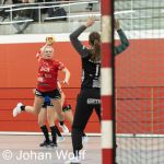 RAALTE, NETHERLANDS - NOVEMBER 26
during the match PCA Kwiek ds2 vs Meos dames 1 at the sportcenter Tijenraan Stadium 26-11-2022 Raalte (photo by Johan Wolff/Orange Pictures)