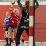 RAALTE, NETHERLANDS - NOVEMBER 26
during the match PCA Kwiek ds2 vs Meos dames 1 at the sportcenter Tijenraan Stadium 26-11-2022 Raalte (photo by Johan Wolff/Orange Pictures)