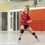 RAALTE, NETHERLANDS - NOVEMBER 26
during the match PCA Kwiek ds2 vs Meos dames 1 at the sportcenter Tijenraan Stadium 26-11-2022 Raalte (photo by Johan Wolff/Orange Pictures)