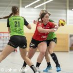 RAALTE, NETHERLANDS - NOVEMBER 26
during the match PCA Kwiek ds2 vs Meos dames 1 at the sportcenter Tijenraan Stadium 26-11-2022 Raalte (photo by Johan Wolff/Orange Pictures)
