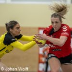 RAALTE, NETHERLANDS - FEBRUAR 4
during the match PCA Kwiek ds1 vs DSVD ds1 at the Sportpark Tijenraan Stadium 04-02-2023 Raalte (photo by Johan Wolff/Orange Pictures)