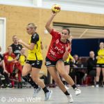 RAALTE, NETHERLANDS - FEBRUAR 4
during the match PCA Kwiek ds1 vs DSVD ds1 at the Sportpark Tijenraan Stadium 04-02-2023 Raalte (photo by Johan Wolff/Orange Pictures)