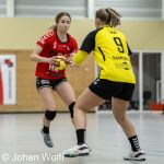 RAALTE, NETHERLANDS - FEBRUAR 4
during the match PCA Kwiek ds1 vs DSVD ds1 at the Sportpark Tijenraan Stadium 04-02-2023 Raalte (photo by Johan Wolff/Orange Pictures)