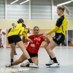 RAALTE, NETHERLANDS - FEBRUAR 4
during the match PCA Kwiek ds1 vs DSVD ds1 at the Sportpark Tijenraan Stadium 04-02-2023 Raalte (photo by Johan Wolff/Orange Pictures)