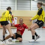 RAALTE, NETHERLANDS - FEBRUAR 4
during the match PCA Kwiek ds1 vs DSVD ds1 at the Sportpark Tijenraan Stadium 04-02-2023 Raalte (photo by Johan Wolff/Orange Pictures)