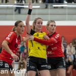 RAALTE, NETHERLANDS - FEBRUAR 4
during the match PCA Kwiek ds1 vs DSVD ds1 at the Sportpark Tijenraan Stadium 04-02-2023 Raalte (photo by Johan Wolff/Orange Pictures)