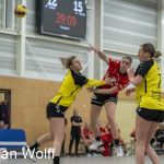 RAALTE, NETHERLANDS - FEBRUAR 4
during the match PCA Kwiek ds1 vs DSVD ds1 at the Sportpark Tijenraan Stadium 04-02-2023 Raalte (photo by Johan Wolff/Orange Pictures)