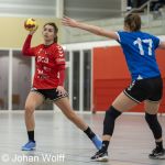 RAALTE, NETHERLANDS - FEBRUAR 18
during the match PCA Kwiek vs PSV handbal at the Sportpark Tijenraan Stadium 18-02-2023 Raalte (photo by Johan Wolff/Orange Pictures)