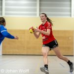 RAALTE, NETHERLANDS - FEBRUAR 18
during the match PCA Kwiek vs PSV handbal at the Sportpark Tijenraan Stadium 18-02-2023 Raalte (photo by Johan Wolff/Orange Pictures)