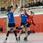 RAALTE, NETHERLANDS - FEBRUAR 18
during the match PCA Kwiek vs PSV handbal at the Sportpark Tijenraan Stadium 18-02-2023 Raalte (photo by Johan Wolff/Orange Pictures)