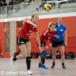RAALTE, NETHERLANDS - FEBRUAR 18
during the match PCA Kwiek vs PSV handbal at the Sportpark Tijenraan Stadium 18-02-2023 Raalte (photo by Johan Wolff/Orange Pictures)