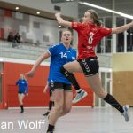 RAALTE, NETHERLANDS - FEBRUAR 18
during the match PCA Kwiek vs PSV handbal at the Sportpark Tijenraan Stadium 18-02-2023 Raalte (photo by Johan Wolff/Orange Pictures)