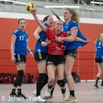 RAALTE, NETHERLANDS - FEBRUAR 18
during the match PCA Kwiek vs PSV handbal at the Sportpark Tijenraan Stadium 18-02-2023 Raalte (photo by Johan Wolff/Orange Pictures)