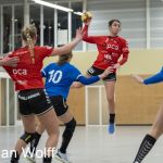 RAALTE, NETHERLANDS - FEBRUAR 18
during the match PCA Kwiek vs PSV handbal at the Sportpark Tijenraan Stadium 18-02-2023 Raalte (photo by Johan Wolff/Orange Pictures)