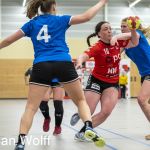 RAALTE, NETHERLANDS - FEBRUAR 18
during the match PCA Kwiek vs PSV handbal at the Sportpark Tijenraan Stadium 18-02-2023 Raalte (photo by Johan Wolff/Orange Pictures)