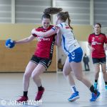 RAALTE, NETHERLANDS - FEBRUAR 18
during the match PCA Kwiek vs PSV handbal at the Sportpark Tijenraan Stadium 18-02-2023 Raalte (photo by Johan Wolff/Orange Pictures)