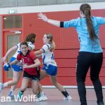 RAALTE, NETHERLANDS - FEBRUAR 18
during the match PCA Kwiek vs PSV handbal at the Sportpark Tijenraan Stadium 18-02-2023 Raalte (photo by Johan Wolff/Orange Pictures)