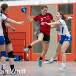RAALTE, NETHERLANDS - FEBRUAR 18
during the match PCA Kwiek vs PSV handbal at the Sportpark Tijenraan Stadium 18-02-2023 Raalte (photo by Johan Wolff/Orange Pictures)
