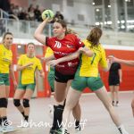 RAALTE, NETHERLANDS - NOVEMBER 17
during the match Zwartwoud Kwiek ds 2 vs Wijhe '92 ds 1 at the Tijenraan Stadium RAALTE 11-17-2024 RAALTE photo by Johan Wolff/Orange Pictures)
