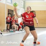 RAALTE, NETHERLANDS - NOVEMBER 17
during the match Zwartwoud Kwiek ds 2 vs Wijhe '92 ds 1 at the Tijenraan Stadium RAALTE 11-17-2024 RAALTE photo by Johan Wolff/Orange Pictures)