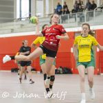 RAALTE, NETHERLANDS - NOVEMBER 17
during the match Zwartwoud Kwiek ds 2 vs Wijhe '92 ds 1 at the Tijenraan Stadium RAALTE 11-17-2024 RAALTE photo by Johan Wolff/Orange Pictures)
