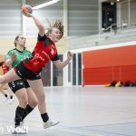 RAALTE, NETHERLANDS - NOVEMBER 17
during the match Zwartwoud Kwiek ds 2 vs Wijhe '92 ds 1 at the Tijenraan Stadium RAALTE 11-17-2024 RAALTE photo by Johan Wolff/Orange Pictures)
