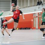 RAALTE, NETHERLANDS - NOVEMBER 17
during the match Zwartwoud Kwiek ds 2 vs Wijhe '92 ds 1 at the Tijenraan Stadium RAALTE 11-17-2024 RAALTE photo by Johan Wolff/Orange Pictures)