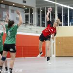 RAALTE, NETHERLANDS - NOVEMBER 17
during the match Zwartwoud Kwiek ds 2 vs Wijhe '92 ds 1 at the Tijenraan Stadium RAALTE 11-17-2024 RAALTE photo by Johan Wolff/Orange Pictures)