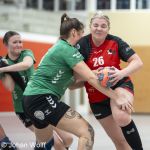 RAALTE, NETHERLANDS - NOVEMBER 17
during the match Zwartwoud Kwiek ds 2 vs Wijhe '92 ds 1 at the Tijenraan Stadium RAALTE 11-17-2024 RAALTE photo by Johan Wolff/Orange Pictures)